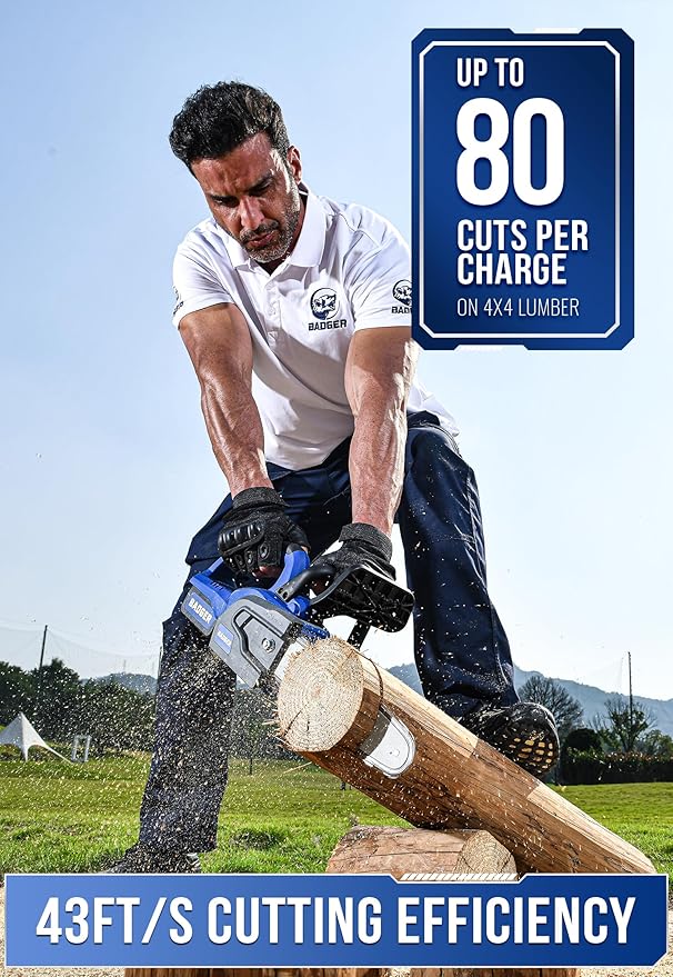 WILD BADGER POWER Brushless 12 Inch Chainsaw Cordless, 20V Battery Chainsaw with 1 x 4.0Ah Battery, Electric Chainsaws with Tool-free Chain Tension, Auto Oiling for Wood Cutting Trimming Branch