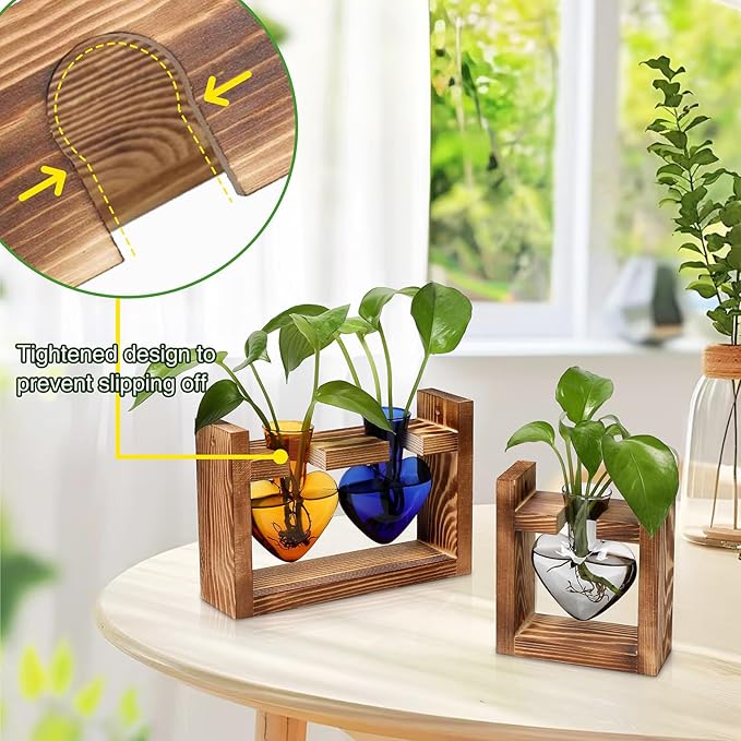 2+1 Plant Terrarium Plant Propagation Station Birthday Gifts for Women Home Office Decor with Wooden Stand