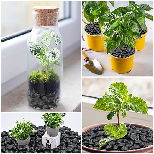 20Ib Black River Rock- Decorative Pebbles for Plants - River Rocks for Outdoor Landscaping- 0.3"-0.8" inch High Polished Stones for Aquarium, Terrarium,Vases, Home Decor