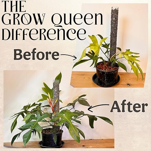 The All-in-One Complete Organic Plant Food, Indoor Plant Food for Houseplants, Organic Fertilizer for Vegetable Gardens, 3lb =75 Formulated Servings Feeds 150 gal Instantly and Slow Release