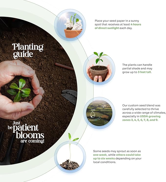 24pcs Hummingbird Seed Paper – Plantable Seed Paper Embedded with Wildflower Seeds for Funeral, Memorial & Other Milestone Celebrations (Pink & Yellow)