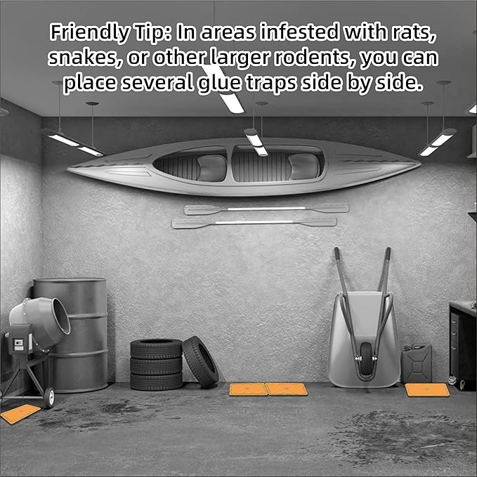 10 Pack Sticky Mouse Trap Rat Traps Indoor, Peanut Taste Pheromone Mouse Traps Indoor for Home