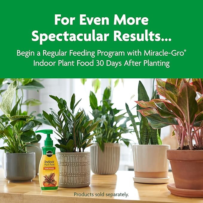 Miracle-Gro Indoor Potting Mix, Blended for a Variety of Houseplants, Feeds for up to 6 Months, 6 qt., 3-Pack
