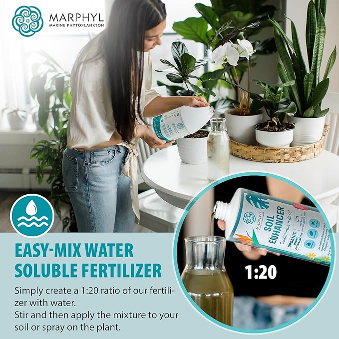 MARPHYL Plant Fertilizer Houseplants and Garden - Marine Phytoplankton Soil Improver and Hydroponic Fertilizer for Grasses, Bamboo, Succulents, & Vegetables - Organic Plant Liquid