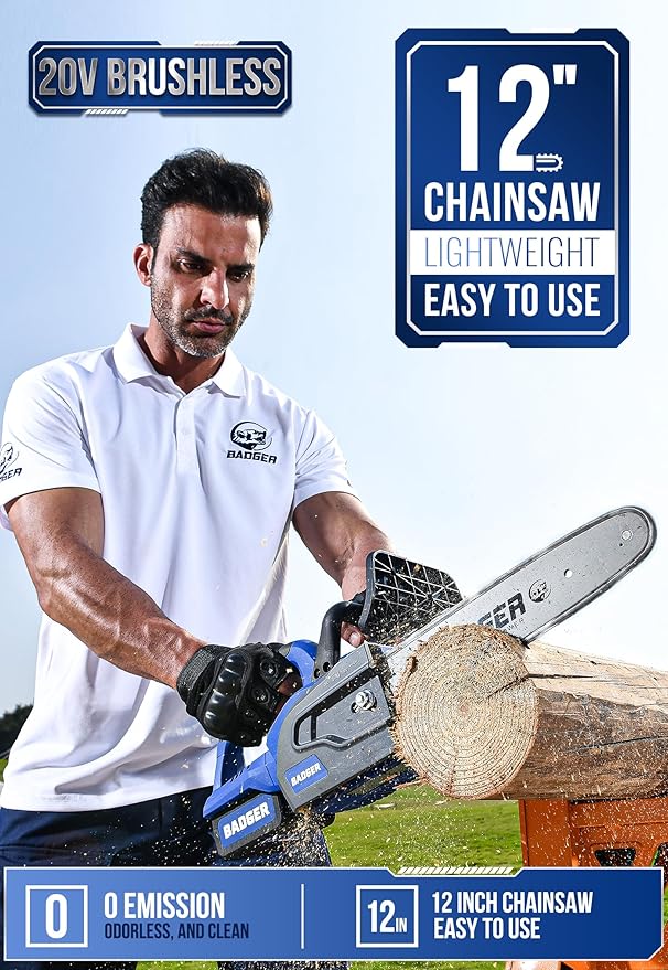 WILD BADGER POWER Brushless 12 Inch Chainsaw Cordless, 20V Battery Chainsaw with 1 x 4.0Ah Battery, Electric Chainsaws with Tool-free Chain Tension, Auto Oiling for Wood Cutting Trimming Branch