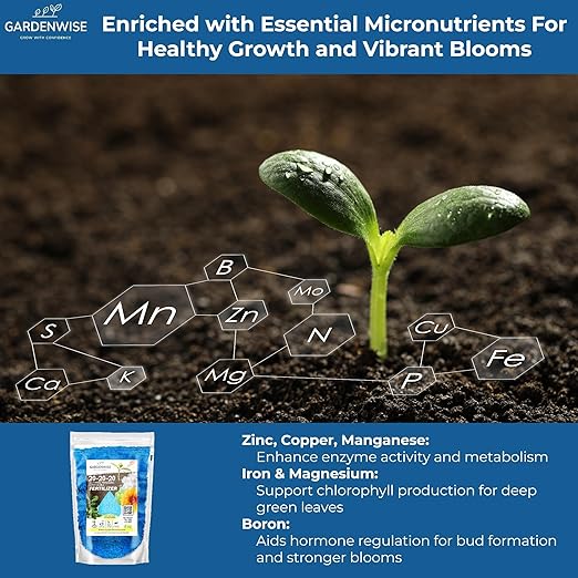 20-20-20 Water-Soluble Fertilizer – Powder for Liquid Plant Food for Indoor & Outdoor Plants, Orchids, Vegetables, Lawns, Flowers – 20 20 20 Fertilizer (8 oz)