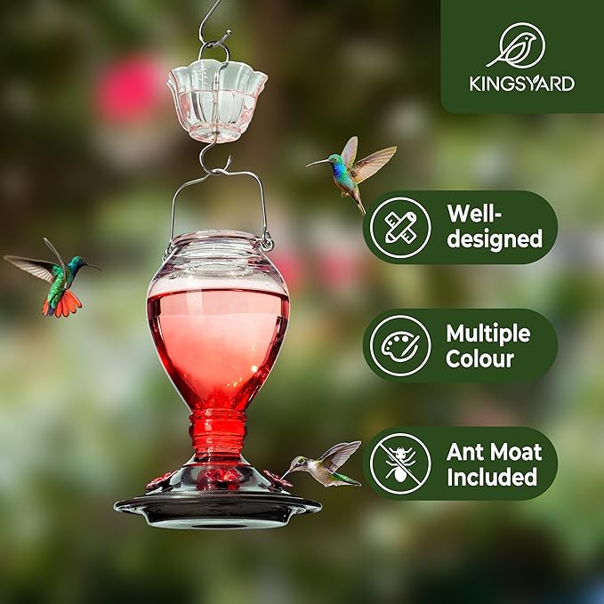 Kingsyard Glass Hummingbird Feeder - 6 Bee Guard Feeding Ports & Ant Moat, 24 oz Leak Proof, Wild Bird Feeder for Outdoors Hanging, Easy to Clean & Refill, Garden Yard Décor, Red & Pink