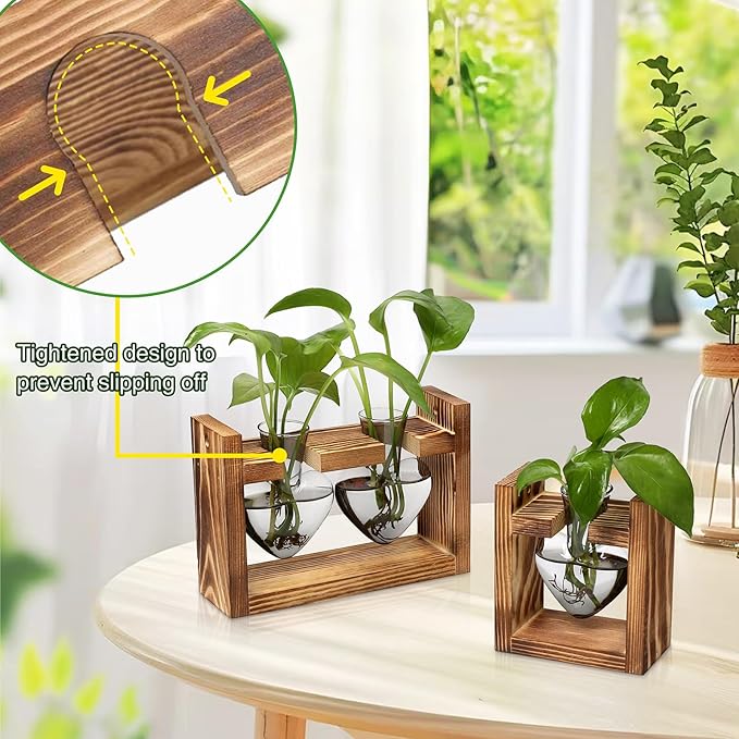 2+1 Plant Terrarium Plant Propagation Station Birthday Gifts for Women Home Office Decor with Wooden Stand
