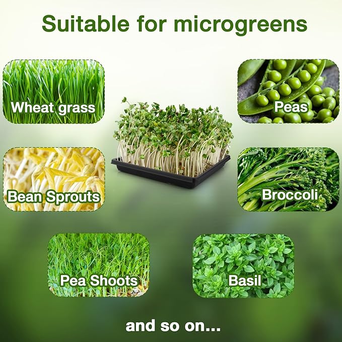 Microgreens Growing Kit, 12Pcs Hemp Mats with 6Pcs 10x10inch Growing Trays for Micro Greens Seeds Sprout, Herb Plant Starting Kit with Jute Pads for Indoor Germination Sprouts (Non-Hole Trays)