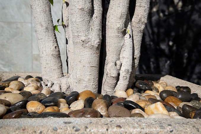 MSI Decorative Polished Mixed Pebbles, 1.2 inch - 2 inch, 40 lb. Bag