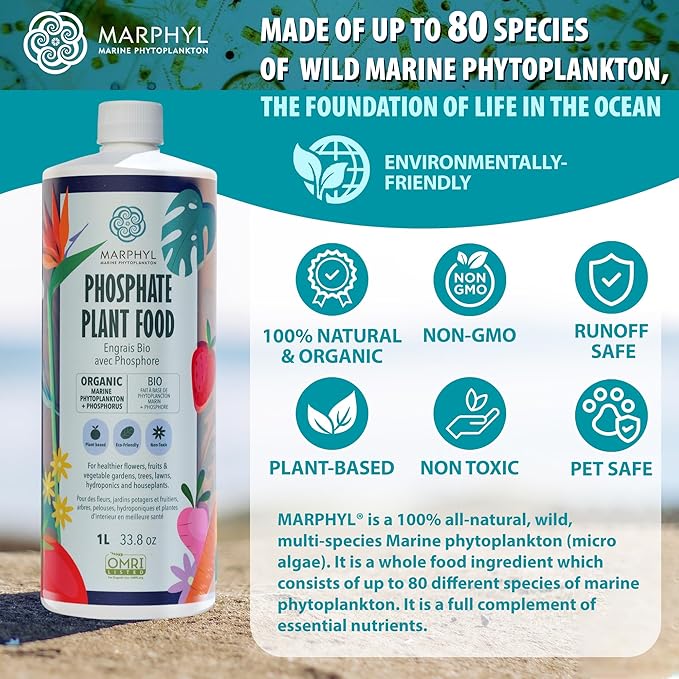 MARPHYL Organic Liquid Phosphate Soil Enhancer. Phosphorus Fertilizer for Garden, Flowers, Vegetables, Succulents, Bamboo, Hydroponics 1.05 gal