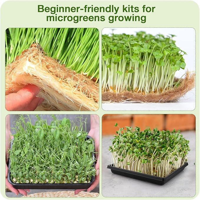 Microgreens Growing Kit, 12Pcs Hemp Mats with 6Pcs 10x10inch Growing Trays for Micro Greens Seeds Sprout, Herb Plant Starting Kit with Jute Pads for Indoor Germination Sprouts (Non-Hole Trays)
