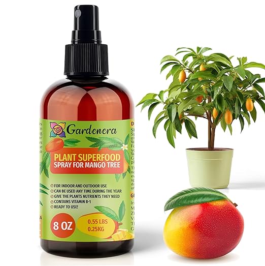 𝐁𝐄𝐒𝐓𝐒𝐄𝐋𝐋𝐄𝐑 Plant Superfood for Mango Tree with B1 Vitamin, Glucose and Essential Minerals - Organic Plant Food Fertilizer for Indoor & Outdoor Mango Plant Care - 8oz