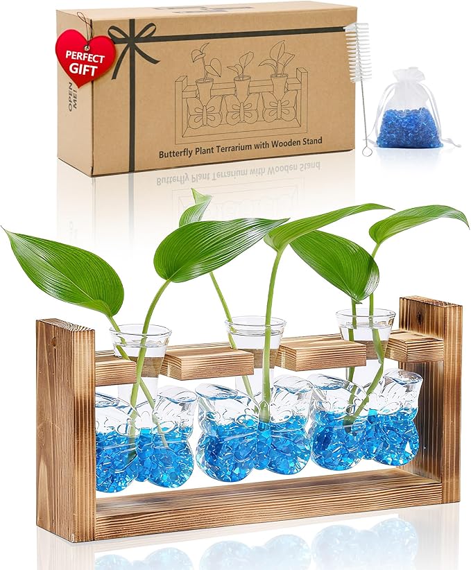 Nacome Plant Terrarium with Wooden Stand,Butterfly-Shaped Glass Vase Planter Propagation Station for Home Office Decor, Unique Gifts for Plant Lovers Women Mom