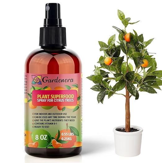𝐁𝐄𝐒𝐓𝐒𝐄𝐋𝐋𝐄𝐑 Plant Superfood for Citrus Tree with B1 Vitamin, Glucose and Essential Minerals - Organic Plant Food Fertilizer for Indoor & Outdoor Citrus Trees - 8oz