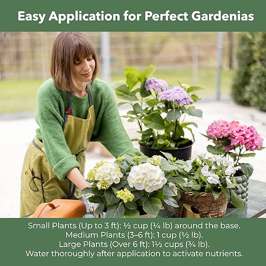 Slow Release Hydrangea Fertilizer with Iron & Sulfur – Indoor & Outdoor Soil Acidifier for Miracle Growth (2 qt)