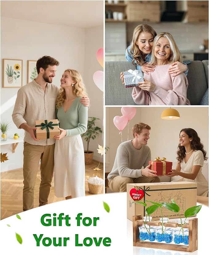 Nacome Plant Terrarium with Wooden Stand,Butterfly-Shaped Glass Vase Planter Propagation Station for Home Office Decor, Unique Gifts for Plant Lovers Women Mom