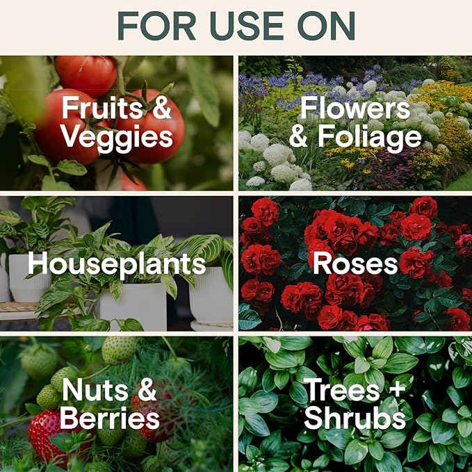 Organic Insecticide & Fungicide for Plants – Indoor & Outdoor Plant – Controls Powdery Mildew, Spider Mites, Aphids, Gnats & More – Safe Pesticide for Houseplant Insect Control, Vegetables & Lawns