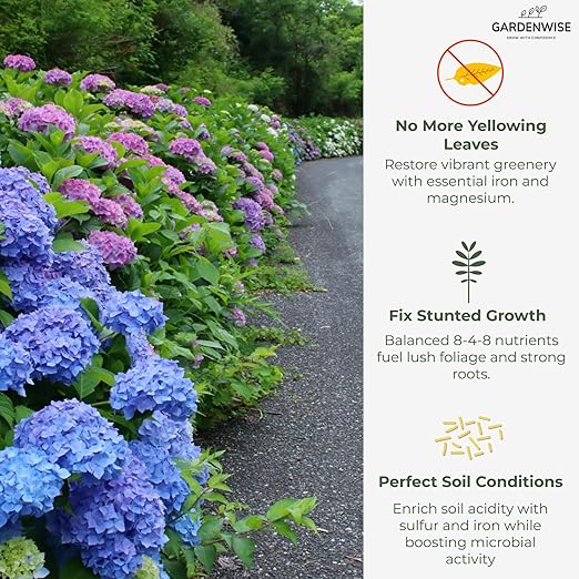 Slow Release Hydrangea Fertilizer with Iron & Sulfur – Indoor & Outdoor Soil Acidifier for Miracle Growth (1 qt)