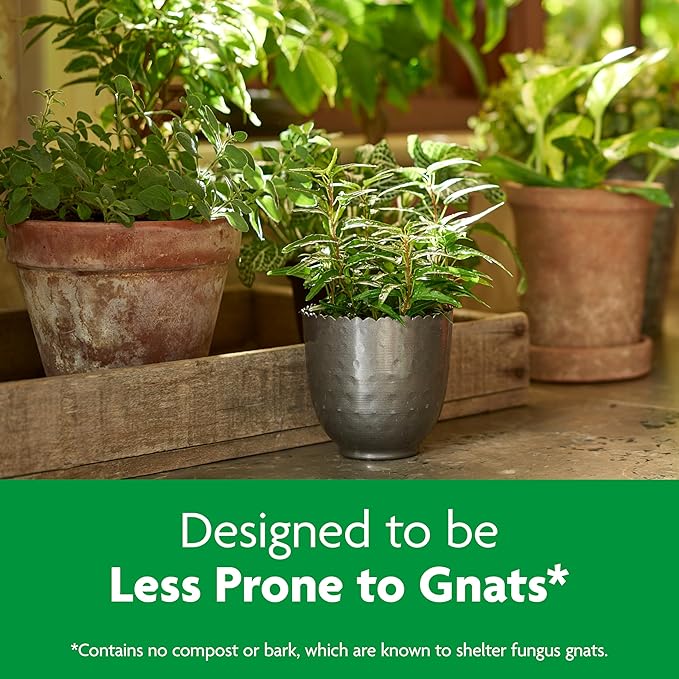 Miracle-Gro Indoor Potting Mix, Blended for a Variety of Houseplants, Feeds for up to 6 Months, 6 qt., 3-Pack