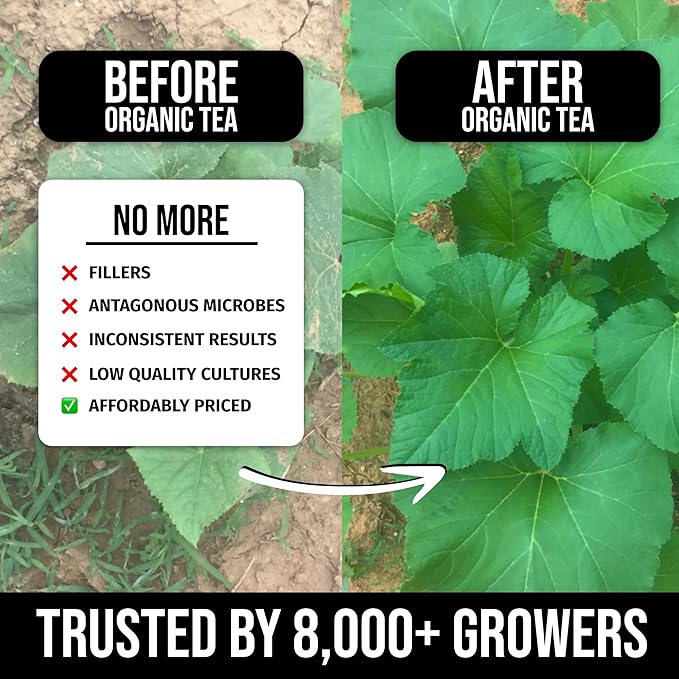 Organic Instant Compost Tea (5 oz) – Probiotic Plant Food Bloom Booster & Yield Booster for Hydroponics & All Gardening Types | Microbial Formula Converts Amino Acids for Enhanced Growth (5, Ounces)