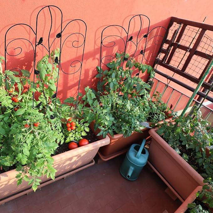 Metal Garden Trellis for Climbing Plants & Roses 61''x 18.5" Plants Support Rustproof Sturdy Leaves Garden Trellis for Vegetables Trellis for Potted Plants Pack of 2 - Black