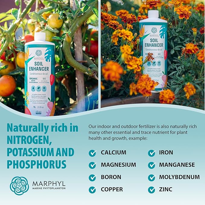 MARPHYL Organic Liquid Fertilizer - Outdoor & Indoor Plant Food - All-Purpose, Nutrient-Rich Lawn Fertilizer & Soil Enhancer for House Plants, Flowers, Vegetables, Succulents, Bamboo, Hydroponics