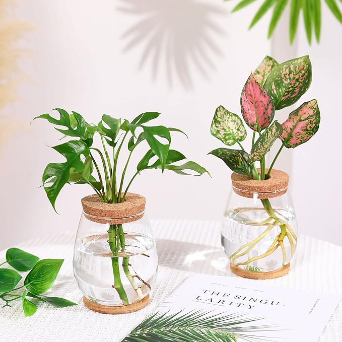 2Pcs Propagation Vases for Plants, Well-Made Plant Terrarium, Hydroponic Glass Container Vase Jars, Plant Lover Gifts for Women, Windowsill Kitchen Desktop Decorations