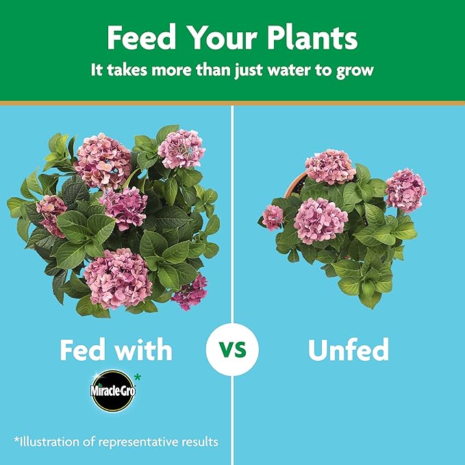 Miracle-Gro Water Soluble Azalea, Camellia, Rhododendron Plant Food - Fertilizer for Acid-Loving Plants & Flowers, 5 lb.