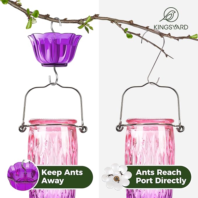 Kingsyard Hummingbird Feeders for Outdoors Hanging, 24 Ounce, Glass Hummingbird Feeder with Ant Moat & 6 Bee Guard Feeding Ports, Leak-Proof, Pink & Purple
