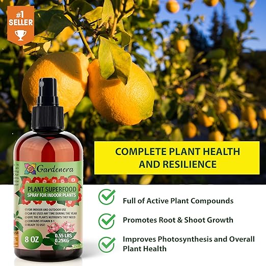𝐁𝐄𝐒𝐓𝐒𝐄𝐋𝐋𝐄𝐑 Plant Superfood for Mandarin Tree with B1 Vitamin, Glucose and Essential Minerals - Organic Plant Food Fertilizer for Indoor & Outdoor Mandarin Trees Care - 8oz