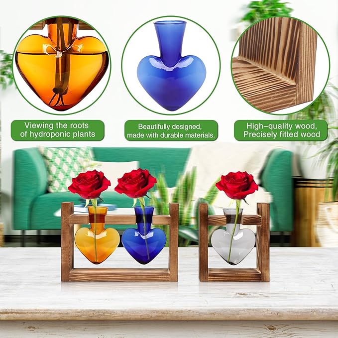 2+1 Plant Terrarium Plant Propagation Station Birthday Gifts for Women Home Office Decor with Wooden Stand