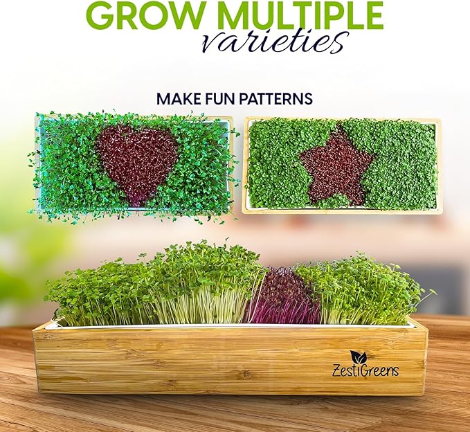 Self-Watering Microgreens Growing Kit – Easiest Way to Grow Fresh Microgreens at Home. Includes Reusable Tray, Organic Seeds, Grow Mats & Stylish Bamboo Frame – No Soil, No Mess (Salad & Broccoli)