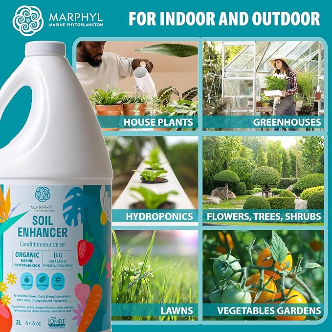 MARPHYL Plant Fertilizer Houseplants and Garden - Marine Phytoplankton Soil Improver and Hydroponic Fertilizer for Grasses, Bamboo, Succulents, & Vegetables - Organic Plant Liquid