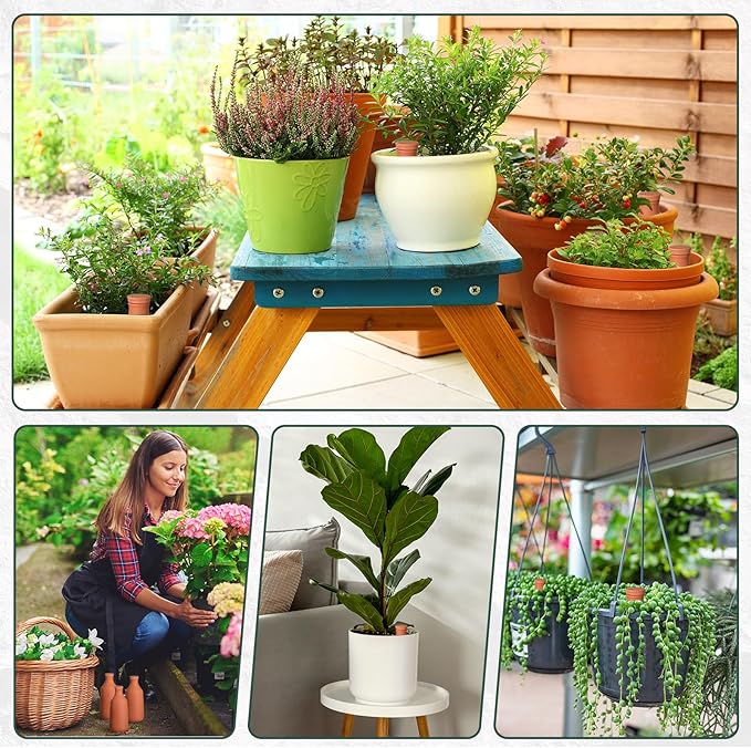 2 Pcs 24oz Ollas Terracotta Watering Pots Self Watering Planter Insert Terracotta Globes Clay for Outdoor Indoor Garden Plants, Easy to Refill