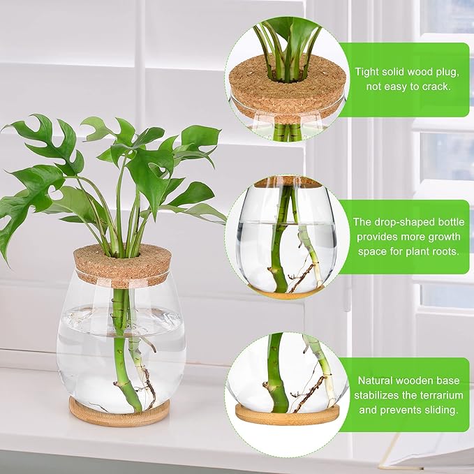 2Pcs Propagation Vases for Plants, Well-Made Plant Terrarium, Hydroponic Glass Container Vase Jars, Plant Lover Gifts for Women, Windowsill Kitchen Desktop Decorations