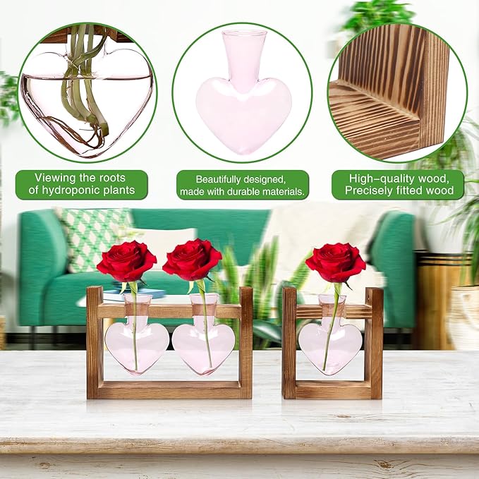 2+1 Plant Terrarium Plant Propagation Station Birthday Gifts for Women Home Office Decor with Wooden Stand