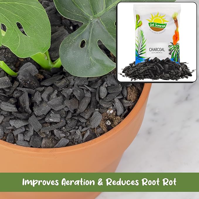 Horticultural Charcoal for Indoor Plants (1 Quart), Hardwood Soil Additive for Orchids, Terrariums, and Gardening