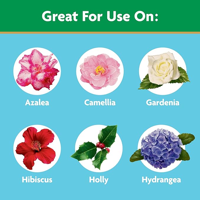 Miracle-Gro Water Soluble Azalea, Camellia, Rhododendron Plant Food - Fertilizer for Acid-Loving Plants & Flowers, 5 lb.