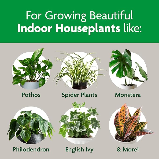 Miracle-Gro Indoor Potting Mix, Blended for a Variety of Houseplants, Feeds for up to 6 Months, 16 qt., 2-Pack