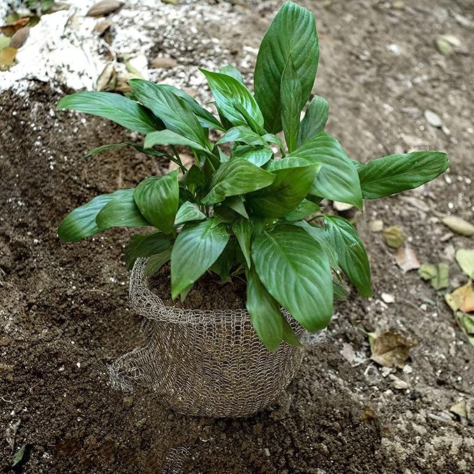 2 Packs 15 Gallon Root Guard Gopher Proof Wire Basket Mole and Vole Mesh Wire Baskets Underground Stainless Steel Wire for Plants