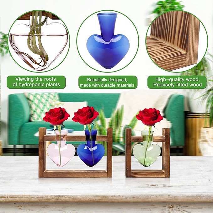 2+1 Plant Terrarium Plant Propagation Station Birthday Gifts for Women Home Office Decor with Wooden Stand