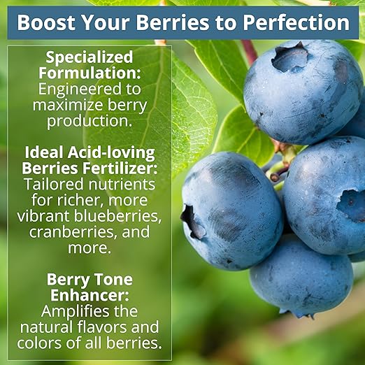 8-4-8 Acidic Fertilizer for Azaleas, Camellias (Camelia), Hydrangeas, Blueberries, Gardenias, Magnolia Trees, Evergreens, and Rhododendrons - Ideal Iron-Rich Plant Food (3 QUARTS)