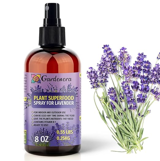 𝐁𝐄𝐒𝐓𝐒𝐄𝐋𝐋𝐄𝐑 Plant Superfood for Lavender Plants with B1 Vitamin, Glucose and Essential Minerals - Organic Plant Food Fertilizer for Indoor & Outdoor Lavander Plant Care - 8oz