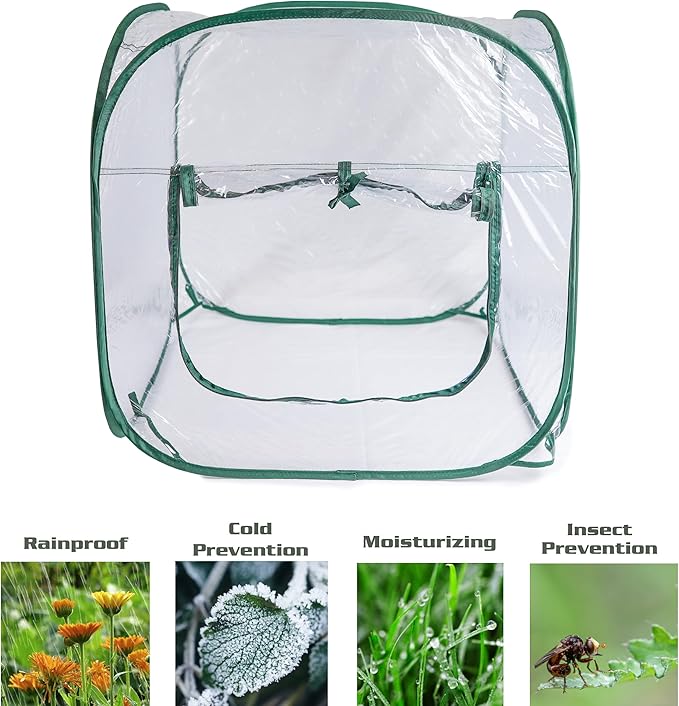 Medium Pop Up Greenhouse, Versatile Greenhouses for Outdoors or Indoor Greenhouse.
