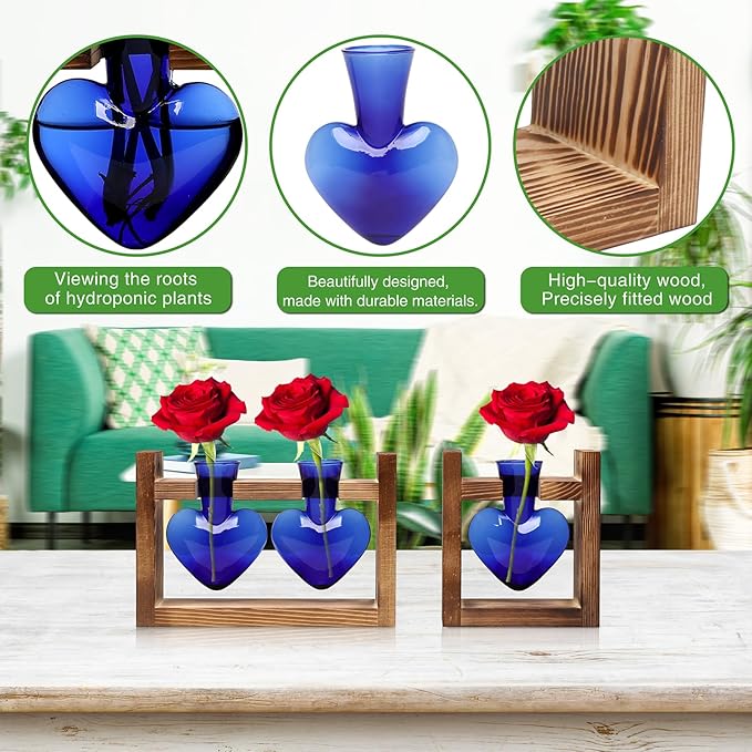 2+1 Plant Terrarium Plant Propagation Station Birthday Gifts for Women Home Office Decor with Wooden Stand