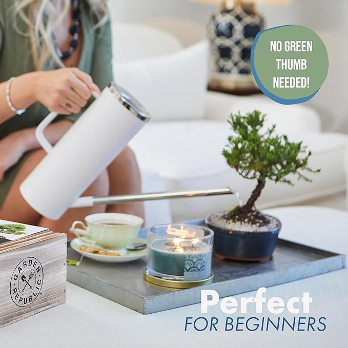 Garden Republic Medium Bonsai Tree Kit, Grow 3 Mini Bonsai Trees, Indoor Plant Growing - Starter Kit with Seeds, Soil, Planters & Shears, Gardening Gifts