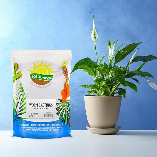 Premium Organic Worm Castings (4 Pounds); 4QT All Natural Soil Additive, Soil Builder, and Fertilizer