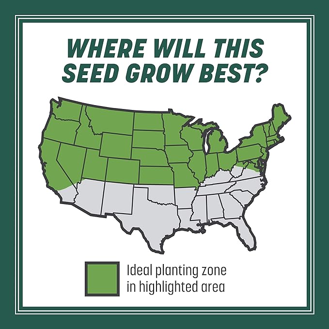 Pennington Smart Seed Sun and Shade Grass Mix 20 lb, Black Label