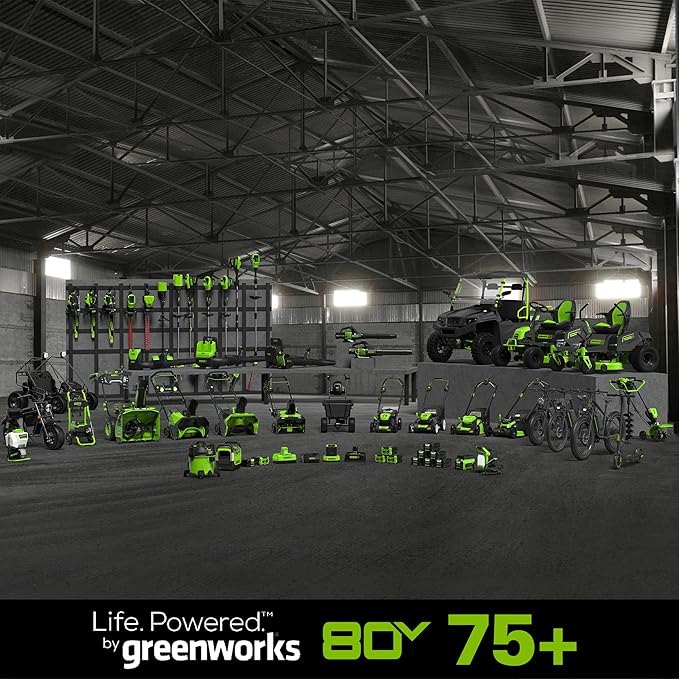 Greenworks 80V 16 inch Brushless String Trimmer, 2.0Ah Battery & Rapid Charger Included, ST80L210